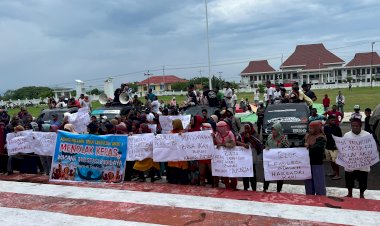 Tolak-Budidaya-Mutiara-Di-Teluk-Lewoleba-Ratusan-Nelayan-Pesisir-Gelar-Aksi-Di-Kantor-Bupati-Lembata
