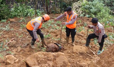 Tim-K-9-Polda-Jateng-Berhasil-Temukan-Jenazah-Bayi-5-Bulan-yang-Tertimbun-Tanah-Longsor