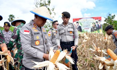 Kapolda-NTT-Pimpin-Panen-Raya-Jagung-Serentak,-Dorong-NTT-Jadi-Lumbung-Pangan-Nasional