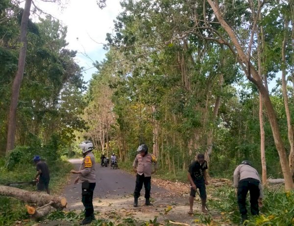 Gerak Cepat Kapolsek Nagawutung Bersama Bhabinkamtibmas Bersihkan Pohon Tumbang, Akses Jalan Loang–Pasir Putih Kembali Lancar.