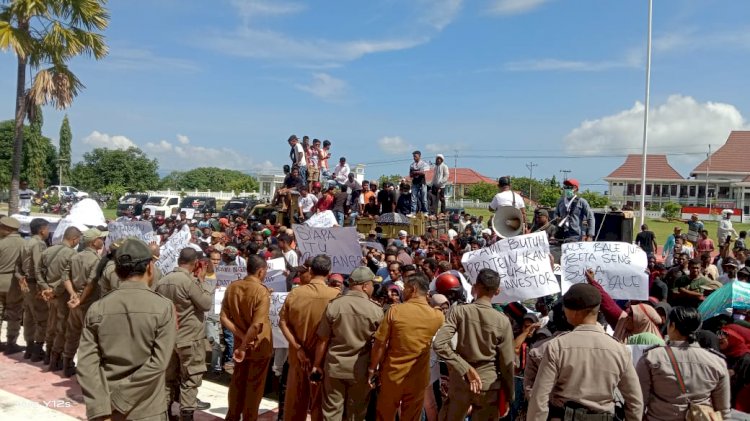 Aliansi NTL Aksi Bakar Ban Tolak Budidaya Mutiara Penjabat Bupati Lembata Sebut Siapa Yang Rugikan