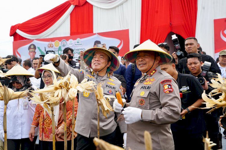 Irwasum Polri Pimpin Panen Jagung Serentak di Madiun, Wujudkan Astacita