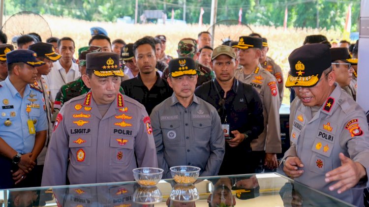 *Jelang Panen Raya Jagung, Kapolri Turun Langsung Cek Lokasi ke Kalbar*